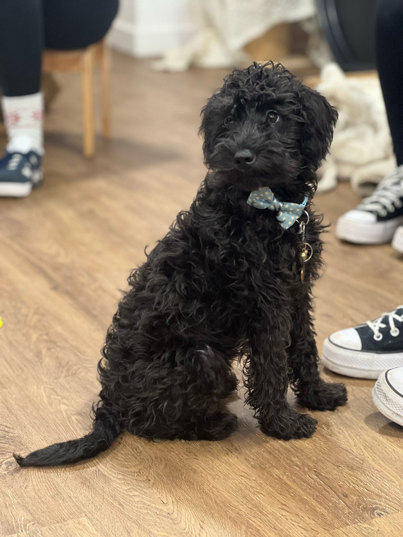 Banana Moon Bridge of Don | Rufus the nursery dog